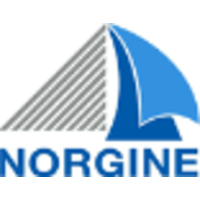 Norgine Pharmaceuticals Logo