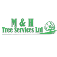 M & h 2025 tree services ltd