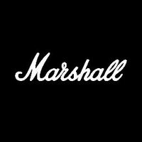 Marshall Amplification Plc - Company Profile - Endole