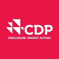 CDP Worldwide Logo