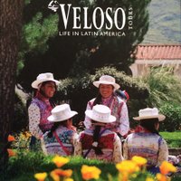 Veloso Tours Logo